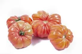 Tomate Cœur De Bœuf 