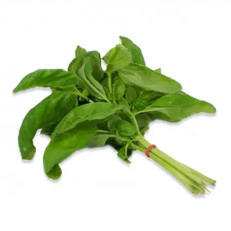 [BASILIC] Basilic botte 100g