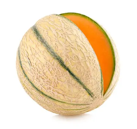 [MELON] Melon